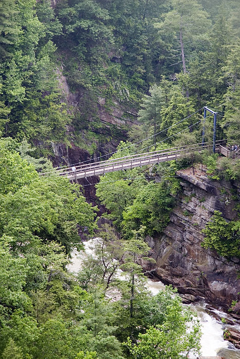 [Talluah Gorge: Swinging Bridge]