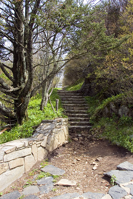 [Waterrock Knob Trail]