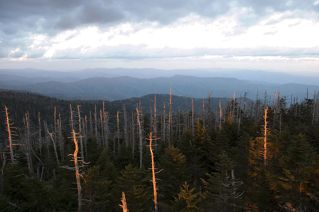 [Clingman's Dome Sunset]