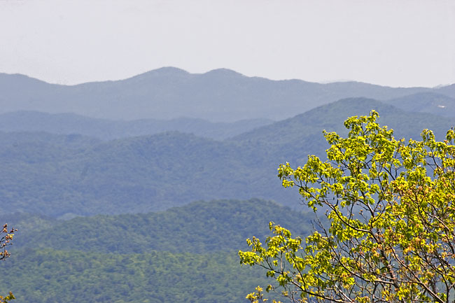 [View from the Blue Ridge]