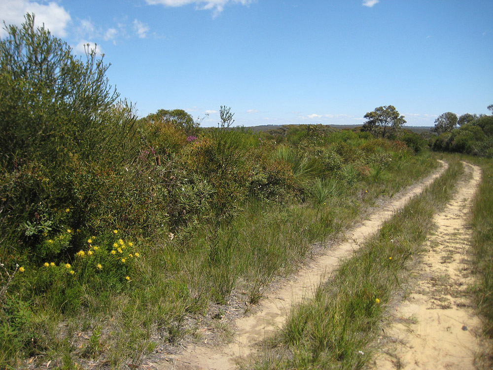 [Heathland]