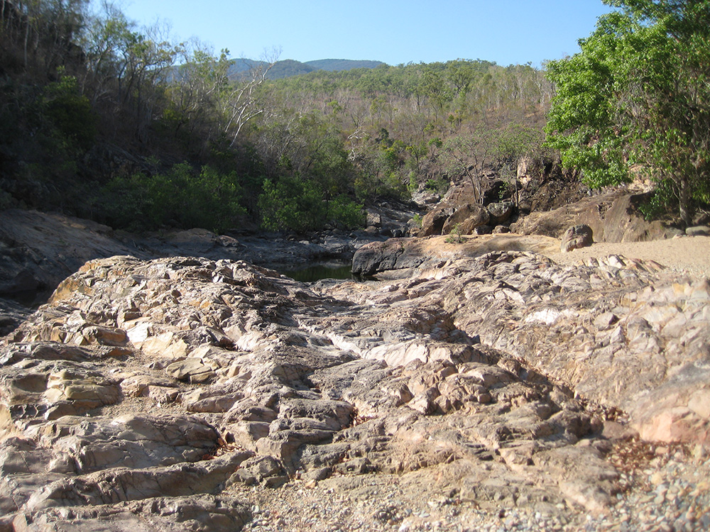 [View at Alligator Creek]