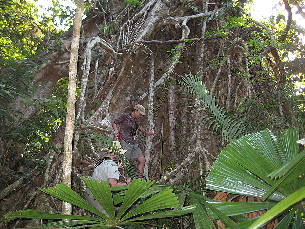 [Susan climbing in tree]