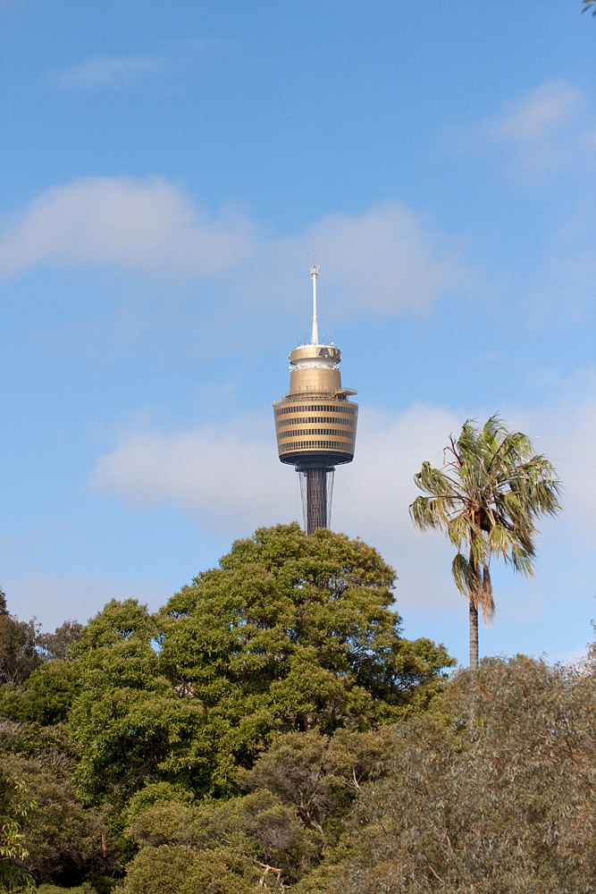 [Sydney Tower]