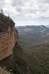 Cliffwalk View