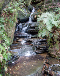 Small Cascade