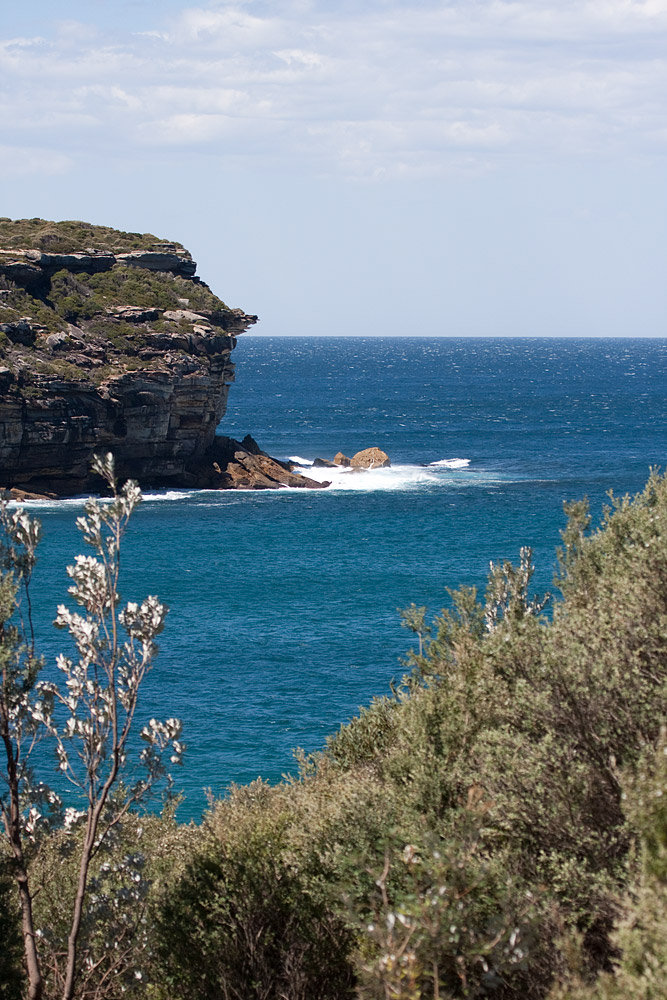 [Ocean Cliffs]