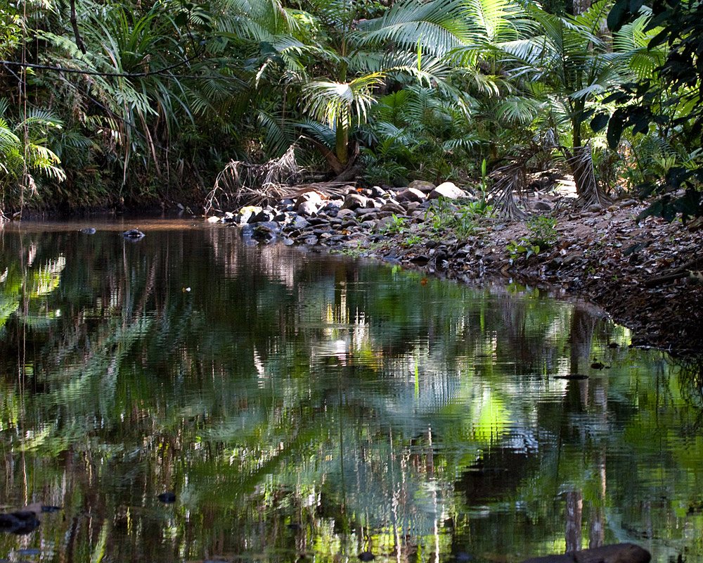 [Creek View]