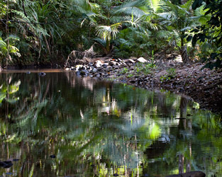 Creek View