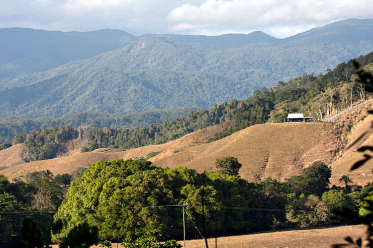 [Daintree Area]