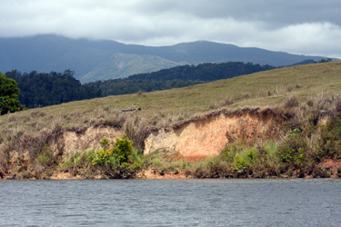 Daintree River Scenery