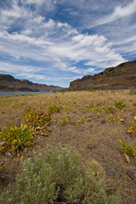 [Grand Coulee]