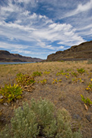 Grand Coulee