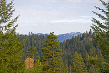 View from Blewett Pass