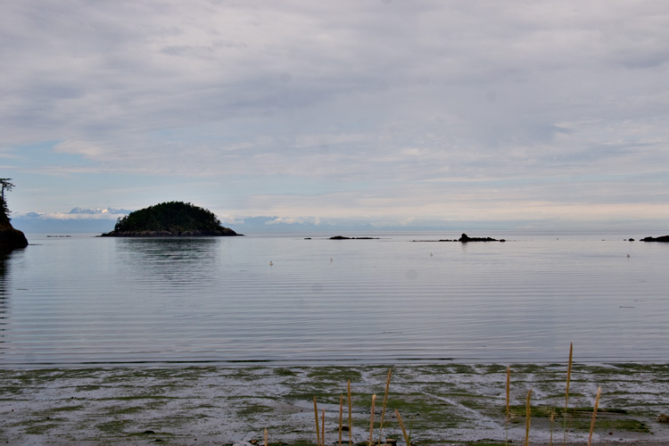 [Anacortes View]