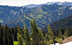 View From Hurricane Ridge