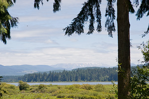 Mt. St. Helens