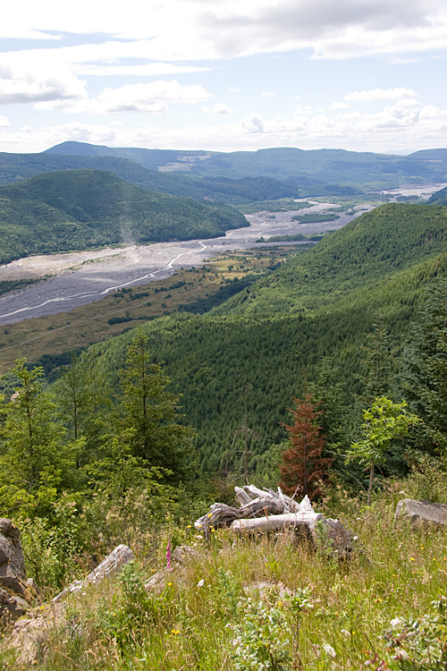 [North Fork Toutle River]