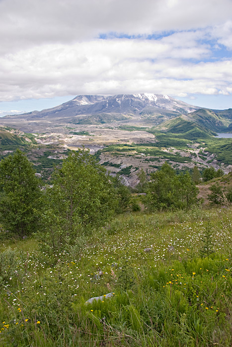 [Mt. St. Helens]