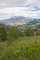 Mt. St. Helens