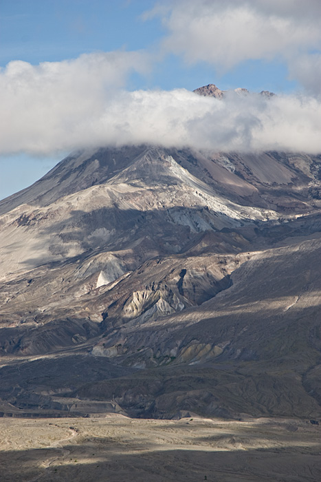 [Mt. St. Helens Peeking Out]