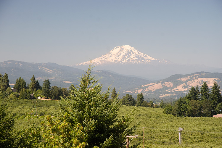 [Mount Rainier]