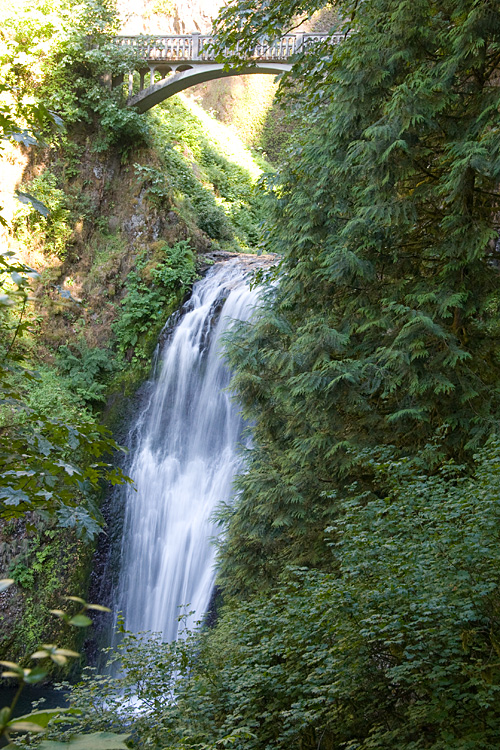 [Lower Multnomah Falls]