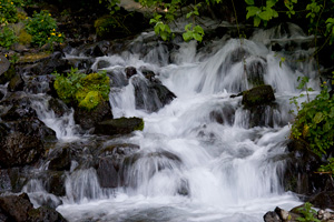 Cascade at Wahkeena Falls