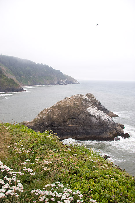 [View from Heceta Head]