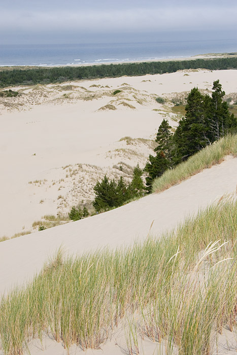 [Oregon Dunes]