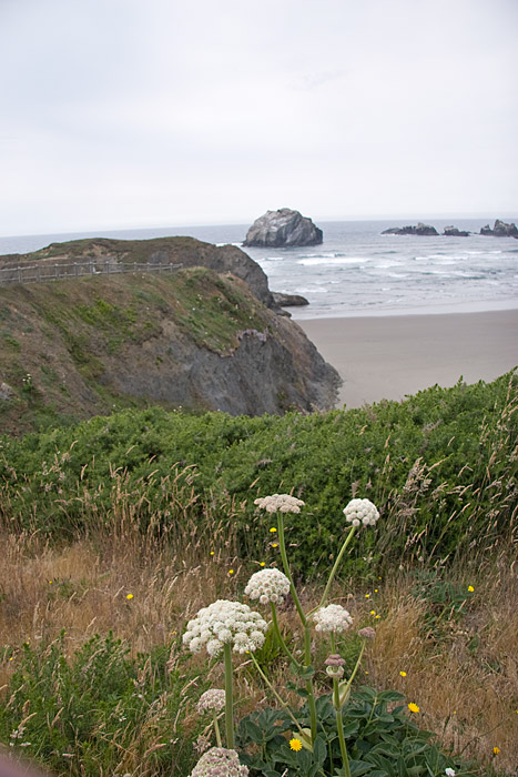 [Face Rock Beach]