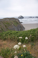 Face Rock Beach