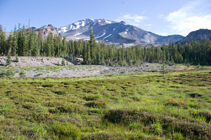 Mt. Shasta and Panther Meadow