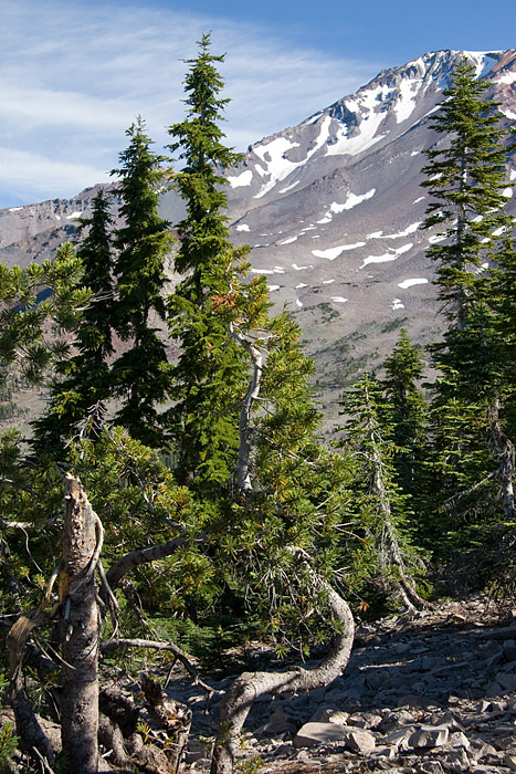 [Mt. Shasta]