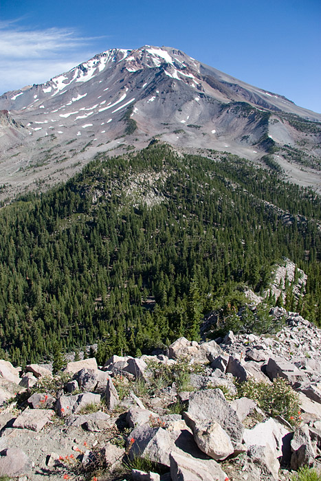 [Mt. Shasta and Wildflowers]