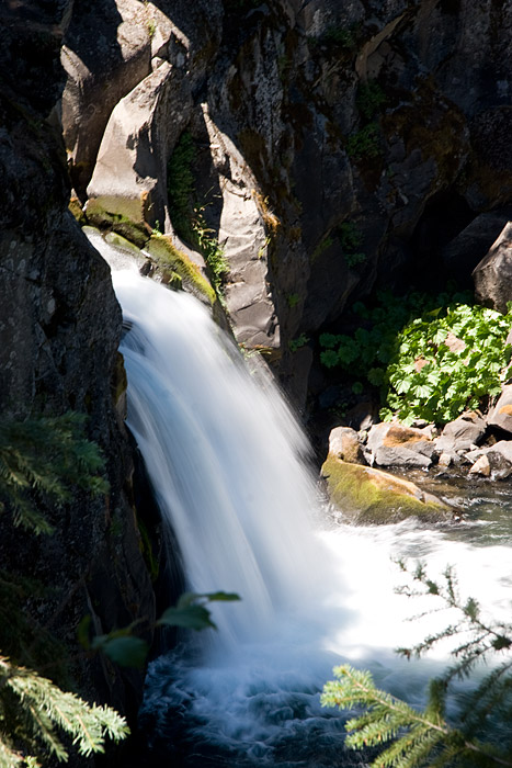 [Upper Falls of the McCloud River]