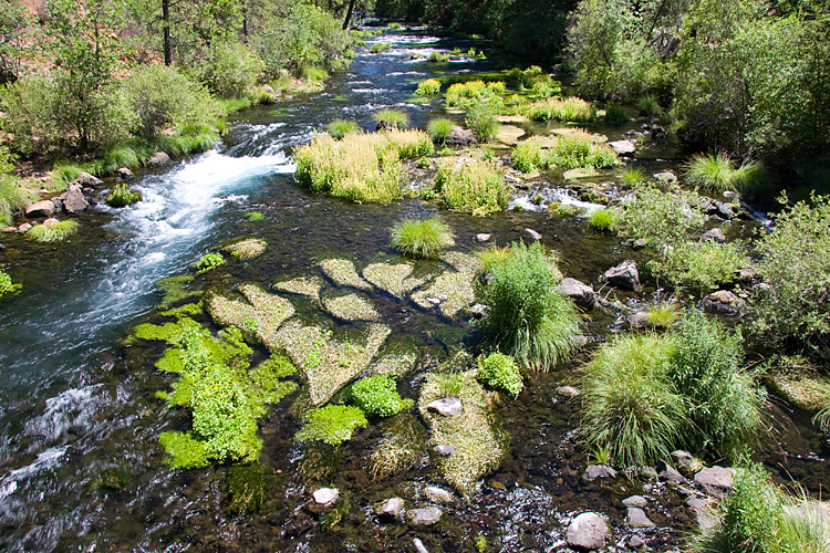 [Burney Creek]