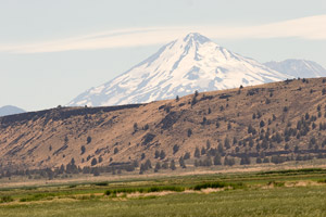 Mt. Shasta