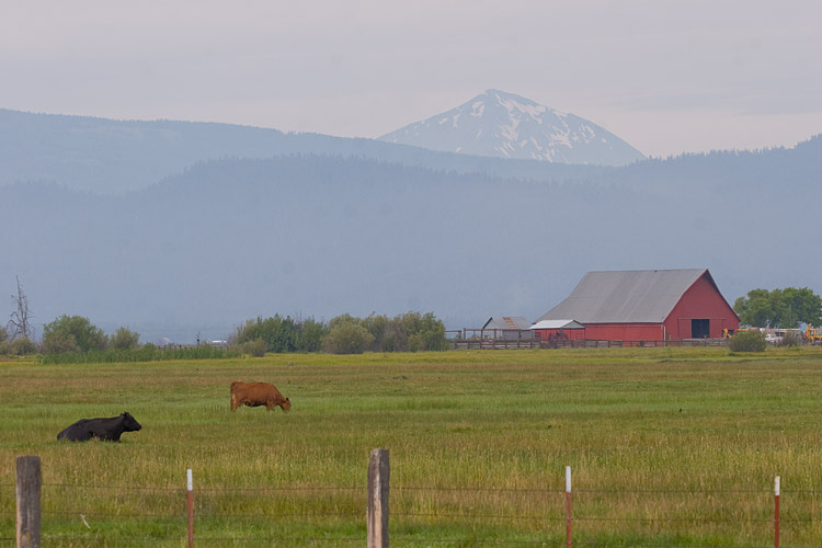 [Mt. Shasta]