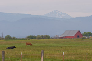 Mt. Shasta