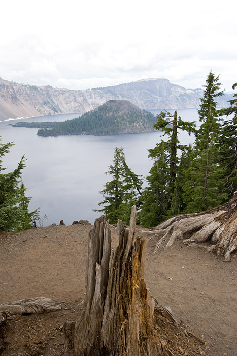 [Broken Tree and Wizard Island]