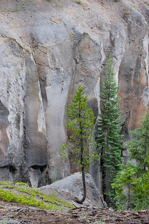 [Rock Wall at Godfrey Glen]