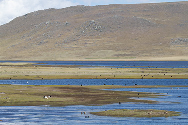 Lago Conococha