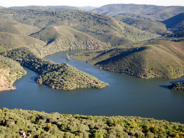 [Monfragüe View]