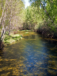 Rio Duraton at Burgomillodo