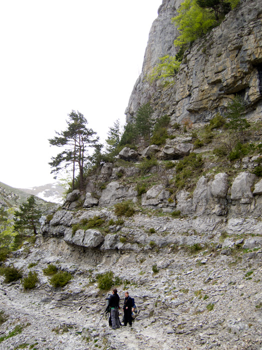 [Wallcreeper Cliff]