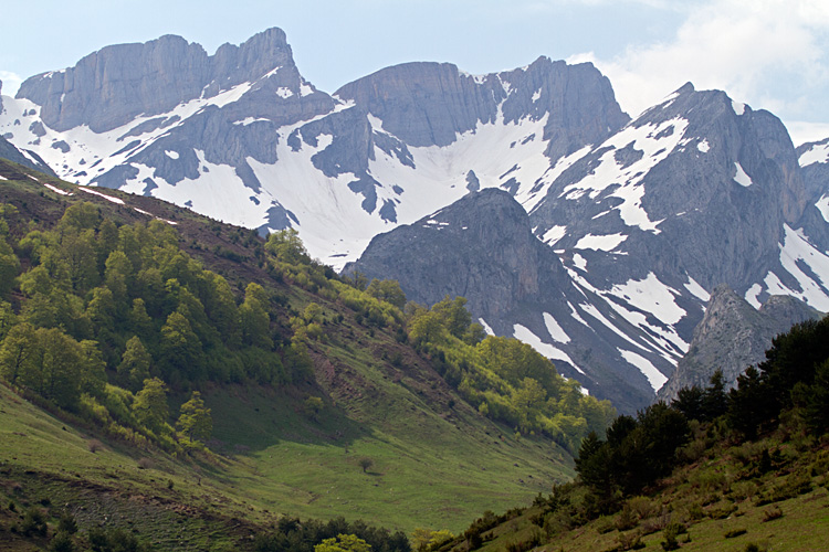 [Pyrenees Scenery]