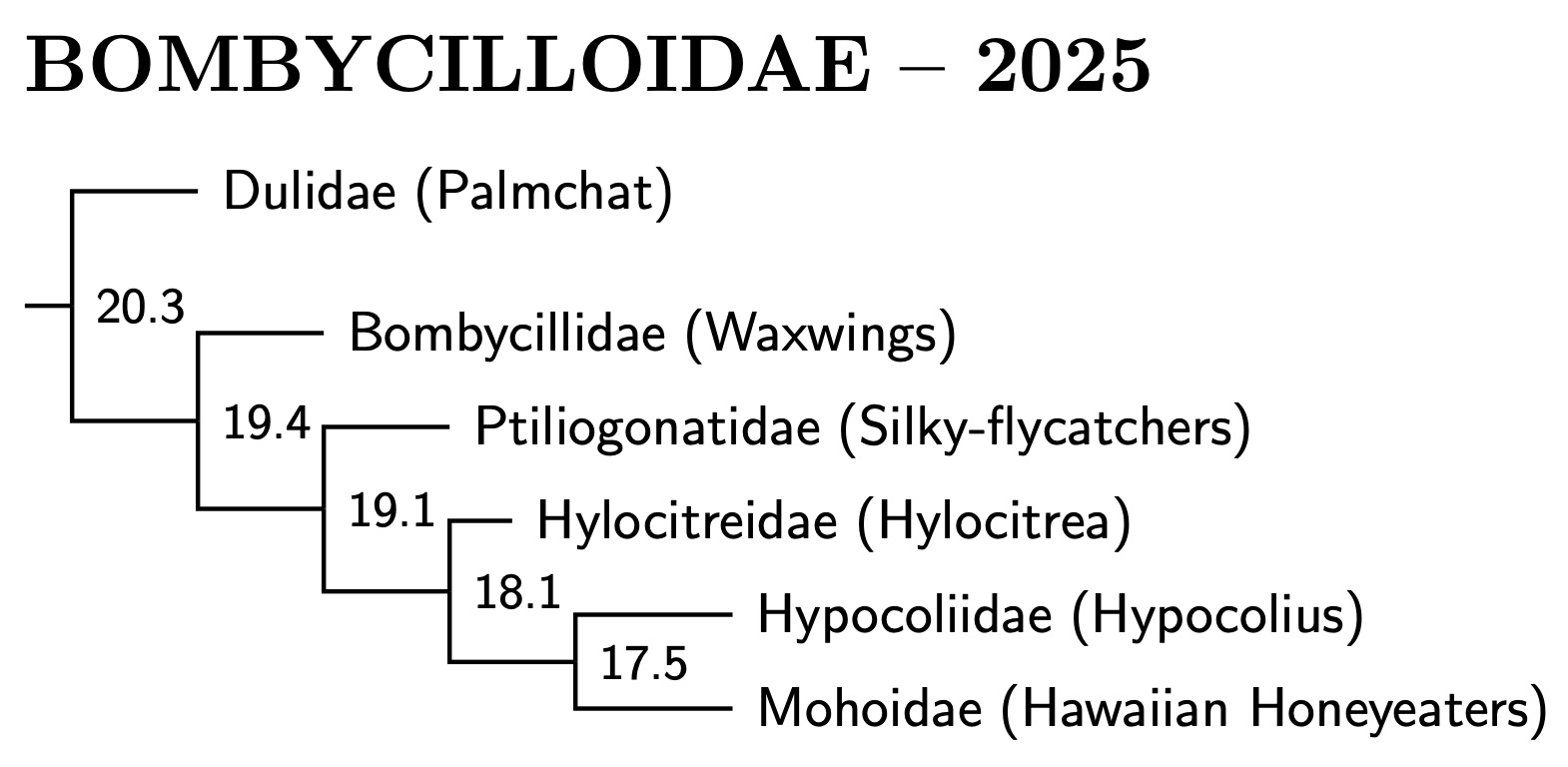 Bombycilloidae