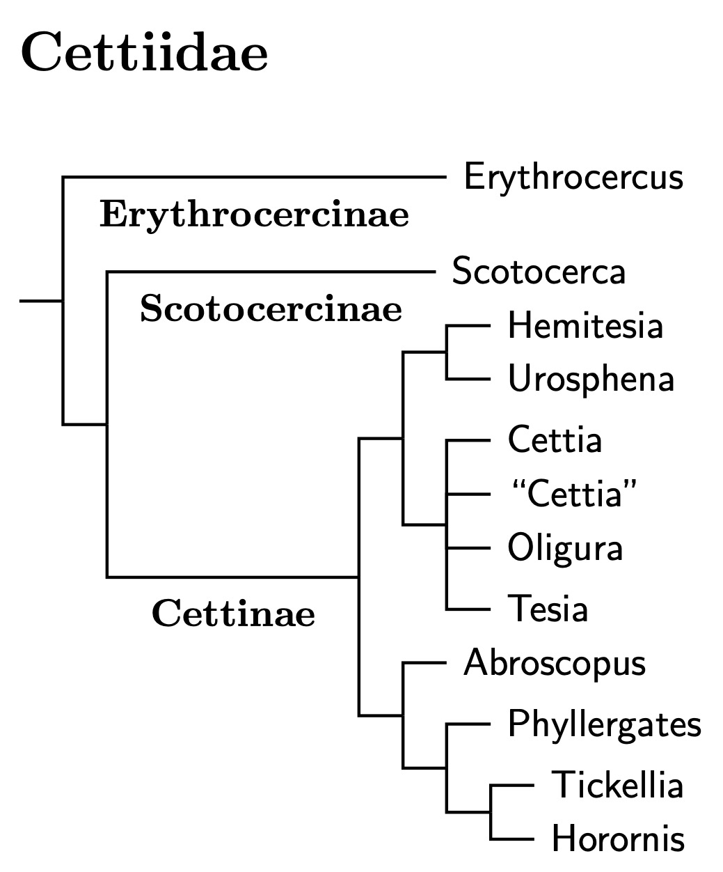 Click for Cettiidae tree