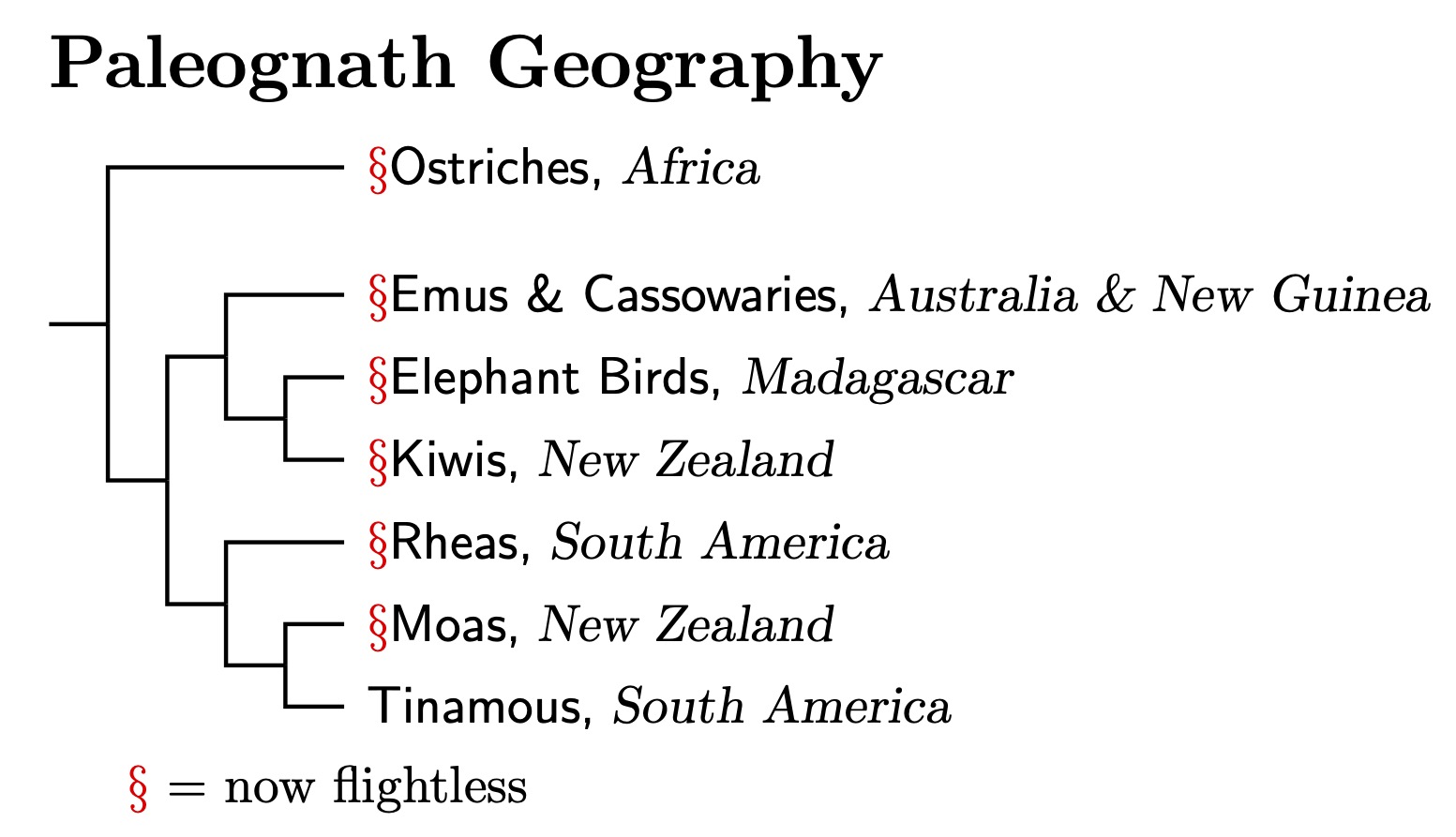 Paleognath Geography